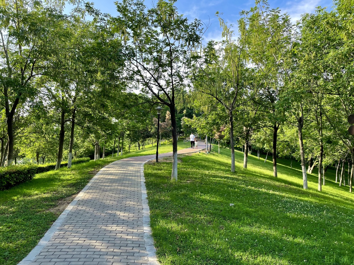 公园的清晨清爽怡人充满希望与活力