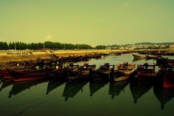 _MG_1475xi