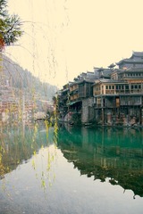 IMG_1154.jpg