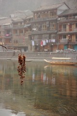 IMG_1192.jpg
