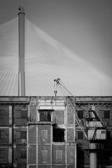 _MG_9766.jpg