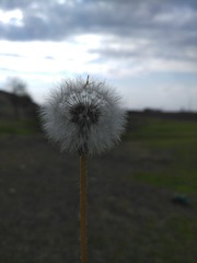 230