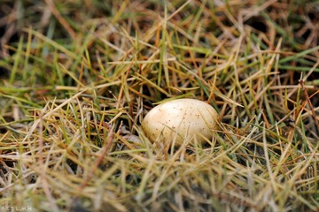 DSC_6431.jpg