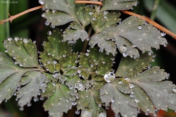 DSC_6439.jpg