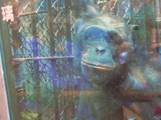 DSCN3049.jpg