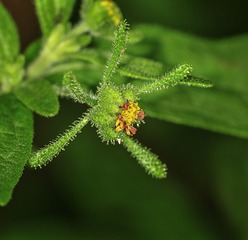 _DSC0172-1