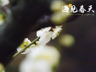 3DF7F5BE-3823-42EF-9F0C-C452AB9046D8/L0/001