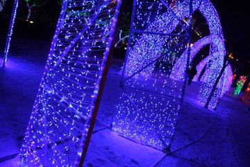 IMG_0335.jpg