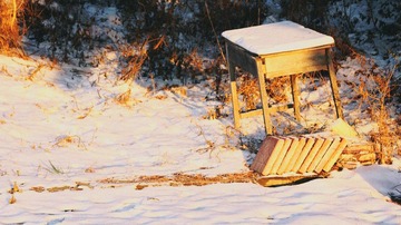 IMG_9279.jpg