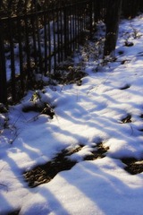 IMG_9237.jpg