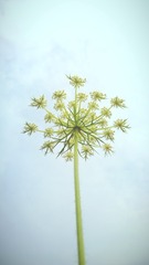 11820