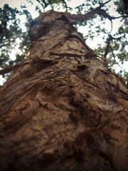 P4044101.jpg