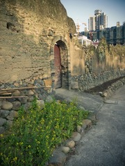 P4074165.jpg