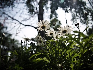 P4023857.jpg