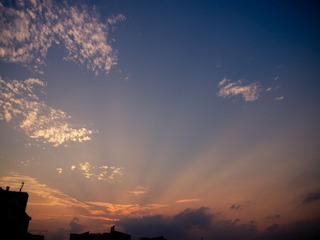 P4244325.jpg