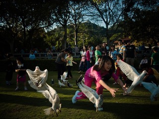 P4294487.jpg