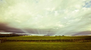 IMG_3040-2.jpg