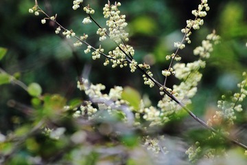 IMG_0391.JPG