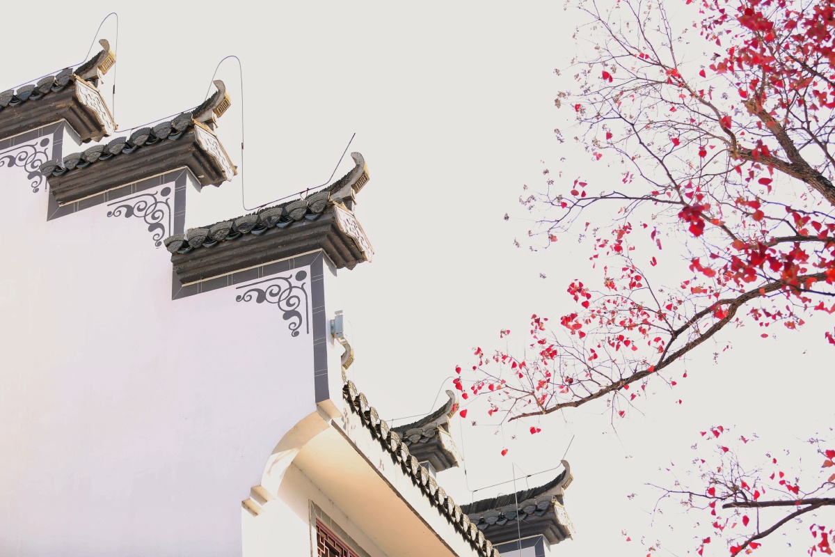 《水墨宏村》一半是青瓦白墙,一半是怒放红梅;一半是建筑之美,一半是
