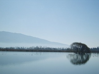 S8002025.JPG