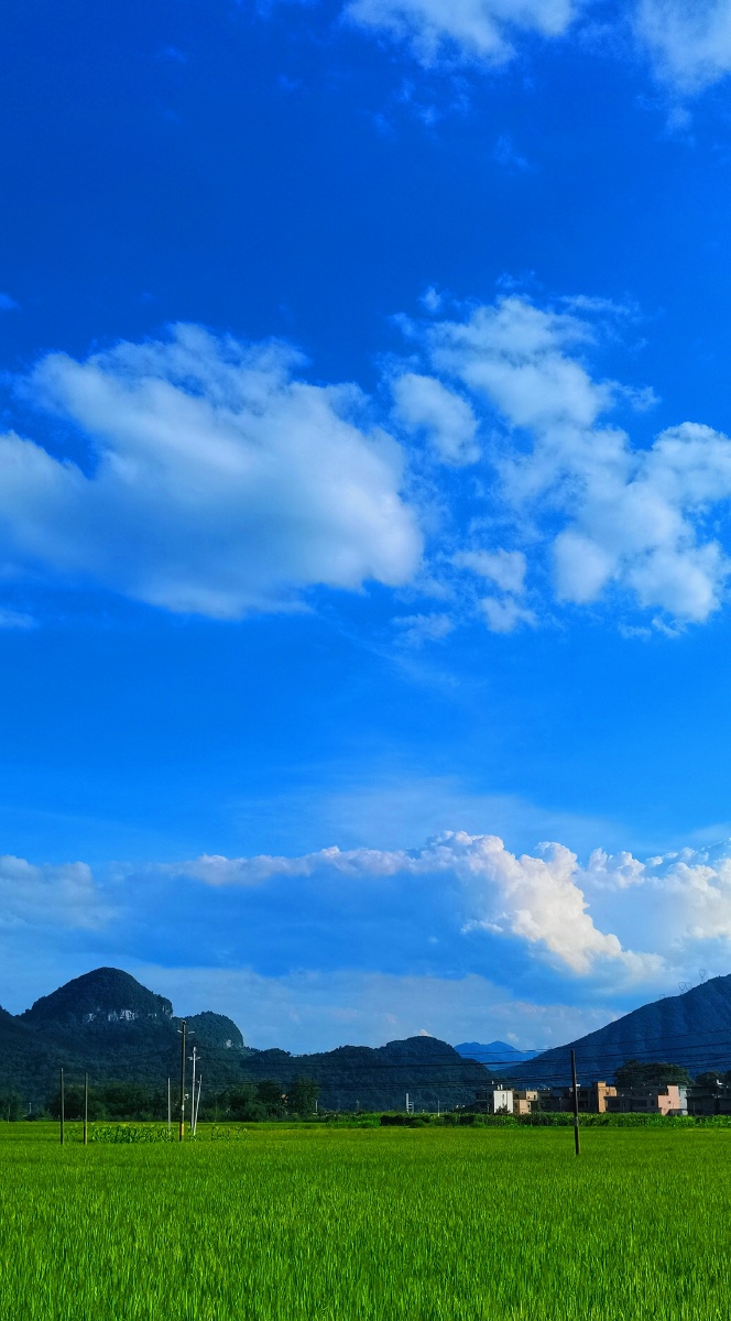 户外抓拍的风景优美天气晴朗