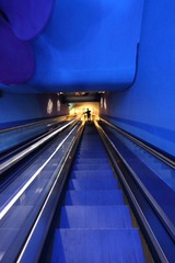 230.JPG