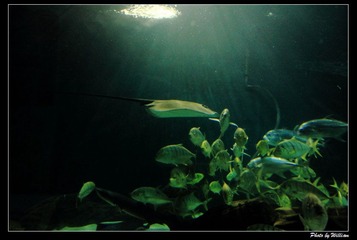 083-3.jpg