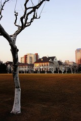 105.JPG