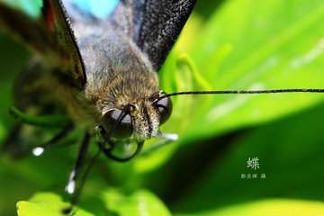 IMG_3186.jpg