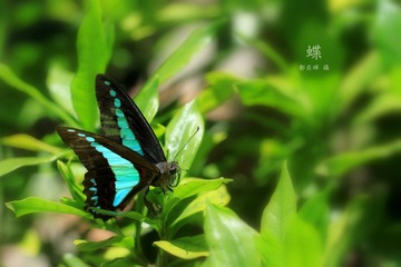IMG_3204.jpg