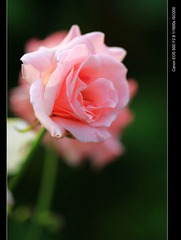 IMG_1773.JPG