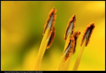 IMG_1935.jpg