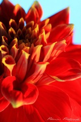 IMG_4582.jpg