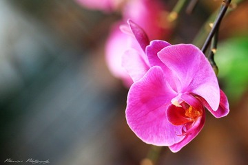 IMG_6027.jpg