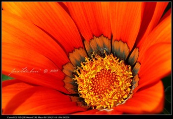IMG_7794.JPG