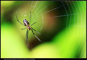 IMG_1952.jpg