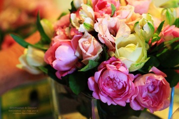 IMG_1285.jpg