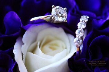 IMG_1310.jpg