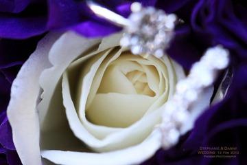 IMG_1315.jpg