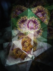 FC87A7F2-5E64-49FC-83F9-6C6759DB37BD/L0/001