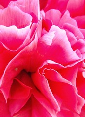 2B159C48-5C54-4925-9E3B-DDAB957686A2/L0/001