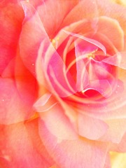 50044569-E207-46BC-9664-D0C6EC6F8C94/L0/001