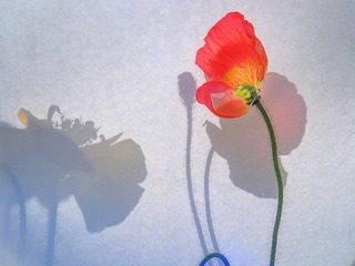 58128F5A-8BA9-4191-990D-03ED758BAA5C/L0/001