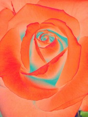 792D0D86-9F98-426A-96ED-E66DE9658232/L0/001
