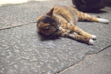 DSC08049.jpg