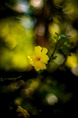 12C13DF3-162E-4C7B-8A14-CE3E0CC1CCE8/L0/001