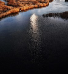 783434