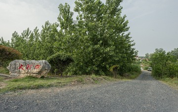 775007