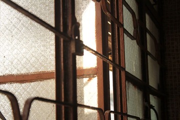 IMG_12581.jpg