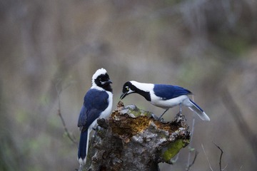 IMG_1571.jpg